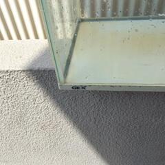水槽の画像