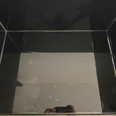 ガラス水槽　60×30×45 60ワイド水槽の画像