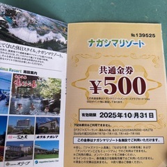 お値下げ　早い者勝ちです　
ナガシマリゾートパスポート券 　4枚セットの画像
