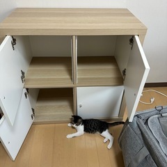棚、シェルフの画像