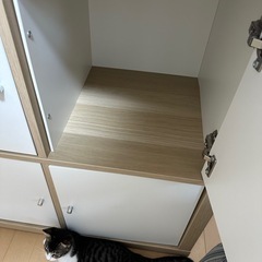 棚、シェルフの画像