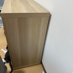 棚、シェルフの画像