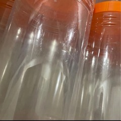 飼育ボトル クリアボトル　スリム　菌糸ボトル40本　　の画像