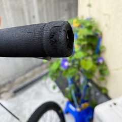トレック　　
の画像
