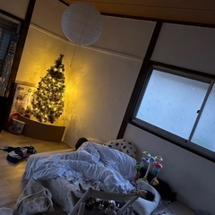 我が家のクリスマスツリーの画像