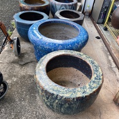 火鉢　睡蓮撥　メダカの画像