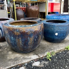 火鉢　睡蓮撥　メダカの画像