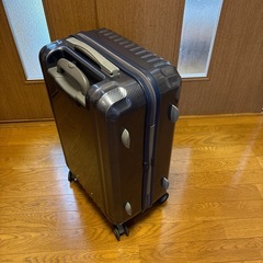 ace キャリーバック
の画像