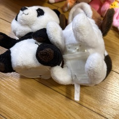ぬいぐるみおもちゃいろいろの画像