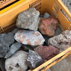 自然石　鑑賞石　水石まとめて５箱
の画像