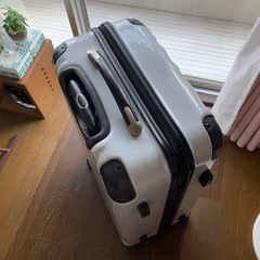 キャリーバック　スーツケース　旅行鞄の画像
