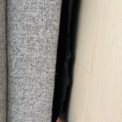 8/23〜27日無料でお譲りします！の画像