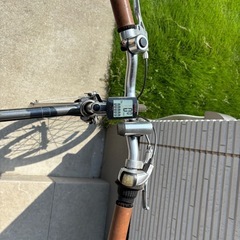 ラレー raleigh RSW-SPORT　ミニベロの画像