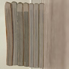 サバイバルシリーズの画像