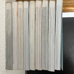 サバイバルシリーズの画像