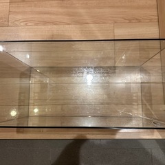 60センチフレームレス水槽　テトラの画像