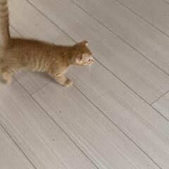 誰かがこの子に親切にしてくれることを願います