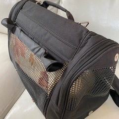 2Way ペット キャリー　バック　　リュックにもなるの画像