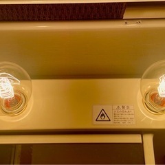 アンティーク 電球 2個の画像
