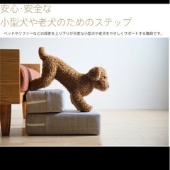 ペットステップ　洗えるドッグステップ 2段 階段 ペット ステップ犬の階段 踏み台 犬 猫 小型犬 の画像