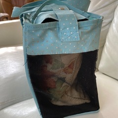 ショルダータイプ　ペットキャリー　バックの画像