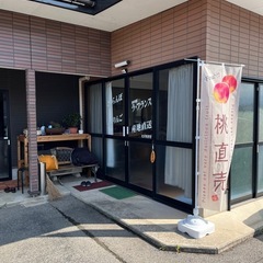 【売り切れ】小さめの白桃　約5kg 直売専用の画像