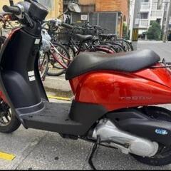 Honda Today 50 ccの画像