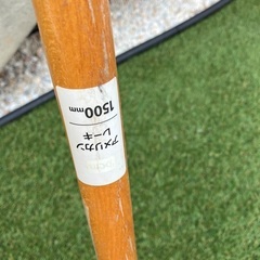 アメリカンレーキの画像
