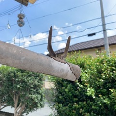 物干し台の画像