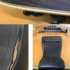 D'Aquisto New Yorker ダキスト エレキギターフルアコ DQ-NYEの画像