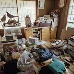 早い者勝ち！【無料】の画像