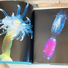 THE DEEP 深海　特別展　ー挑戦の歩みと、脅威の生きものたちー写真集　図鑑の画像