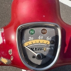 HONDA リトルカブ　機関良好の画像