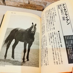 サラブレッド99頭の死に方／サラブレッド101頭の死に方 2 貴重な本2冊セットの画像