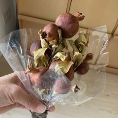 ドライフラワー（ザクロ）の画像