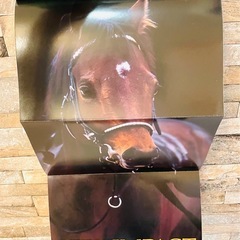 ディープインパクト : 無敗の三冠馬の真実　秘蔵写真満載の画像