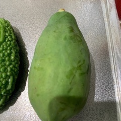 バラエティセット②の画像