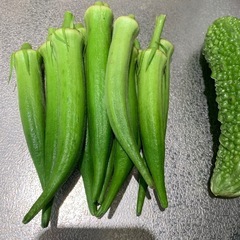 バラエティセット②の画像