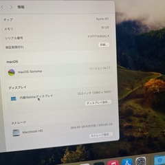 Apple MacBook Air(M1) 16GB/1TBの画像