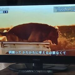 日立Wooo液晶テレビ HP05 26V型HDDレコーダー内蔵の画像
