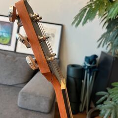 ギター（タカミネ）の画像