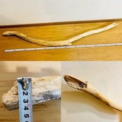 流木　全長119cm  掃除済み　宮島　砂浜　　の画像