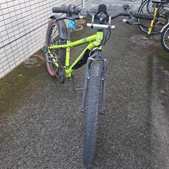 子供自転車　ドライドXX246-L　24インチの画像