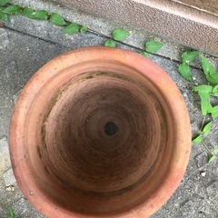 植木鉢　1の画像