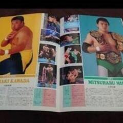 ９４年当時の物　全日本プロレス　三沢光晴　ジャイアント馬場　パンフレットの画像