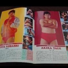 ９４年当時の物　全日本プロレス　三沢光晴　ジャイアント馬場　パンフレットの画像