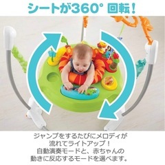 フィッシャープライス レインフォレスト ジャンパルーIIの画像