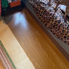 フローリングカーペットの画像