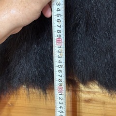 熊の毛皮  美品　欲しい方差し上げますの画像