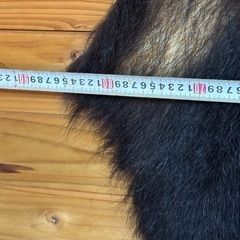 熊の毛皮  美品　欲しい方差し上げますの画像